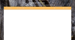 Desktop Screenshot of miodpitny.com
